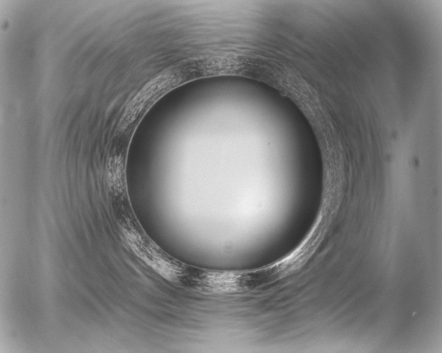 X0000056360144200508261347