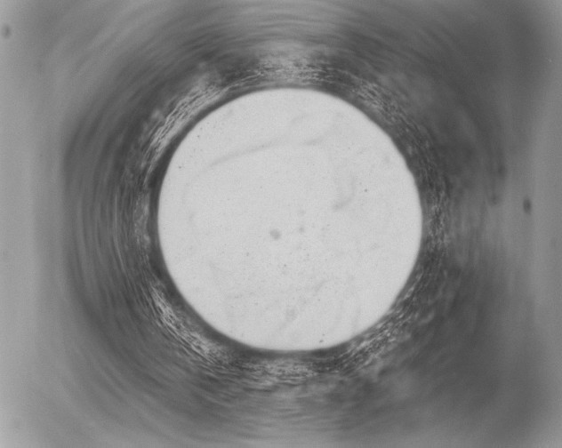 X0000056360146200508261346