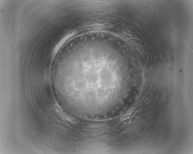 X0000056360147200508261346