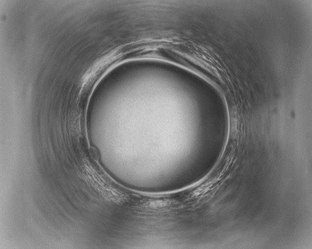 X0000056360149200508261346