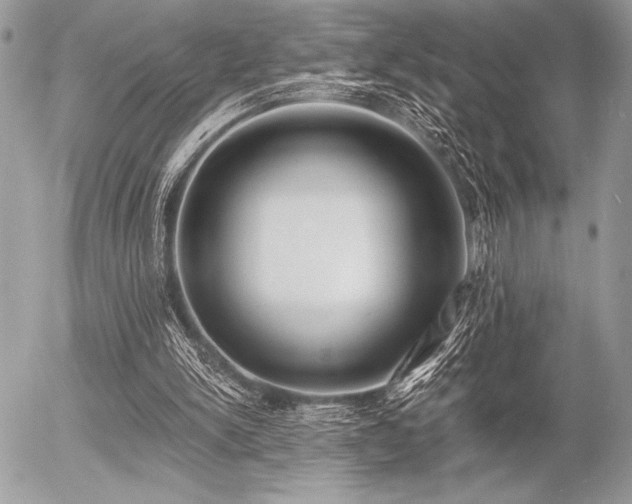 X0000056360150200508261346