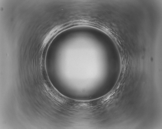 X0000056360151200508261346