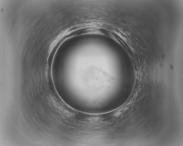 X0000056360152200508261346