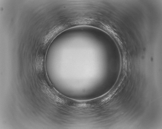 X0000056360153200508261346