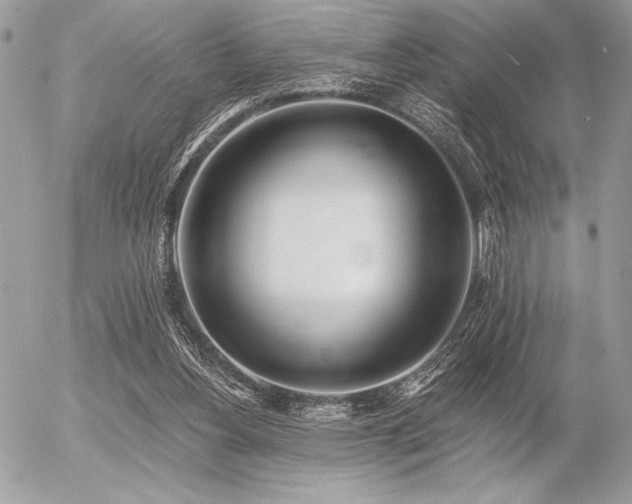 X0000056360156200508261346