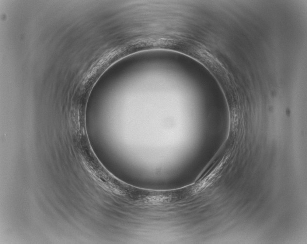 X0000056360158200508261346