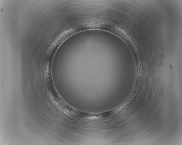 X0000056360163200508261346