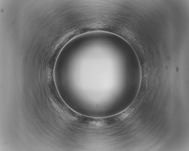 X0000056360164200508261346