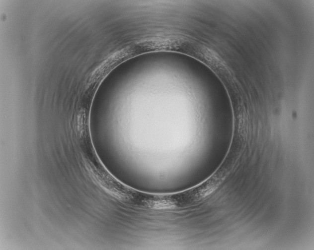 X0000056360165200508261346