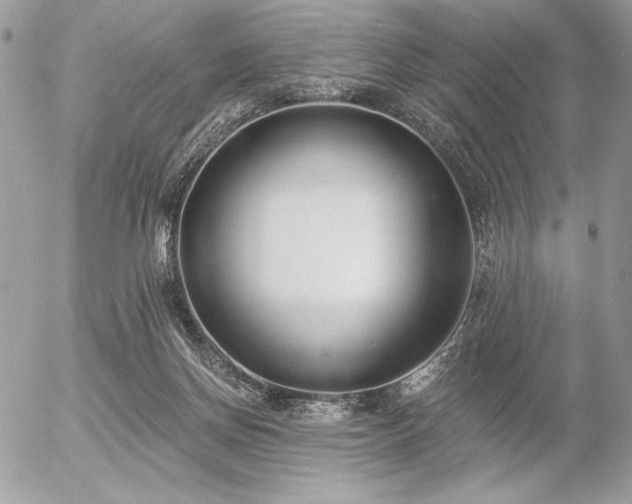 X0000056360166200508261346