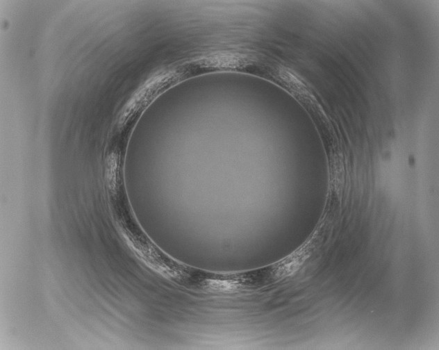 X0000056360167200508261346