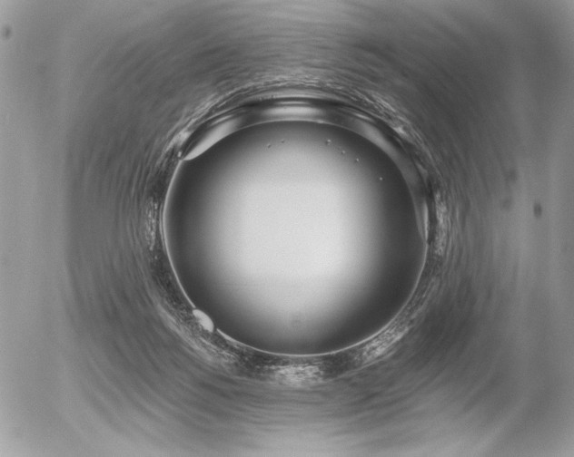 X0000056360168200508261346