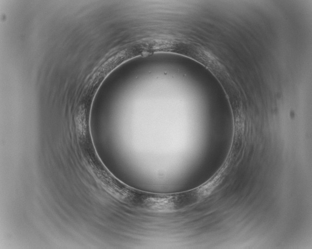 X0000056360170200508261346