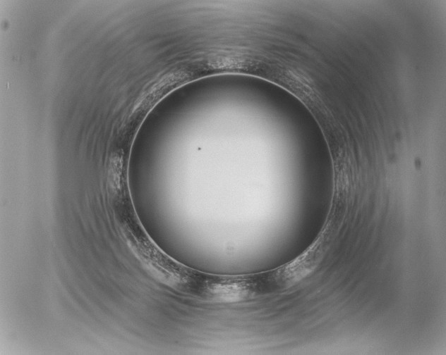 X0000056360171200508261346