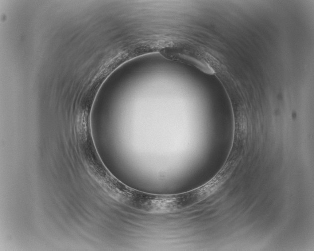 X0000056360172200508261346