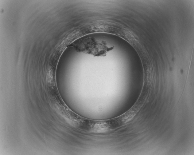 X0000056360173200508261346