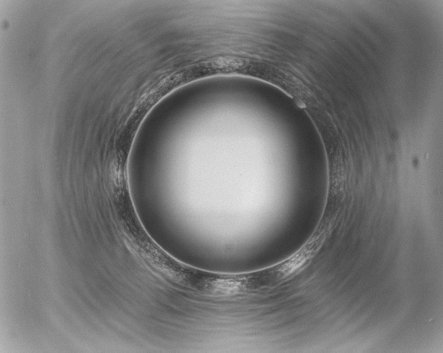 X0000056360176200508261346