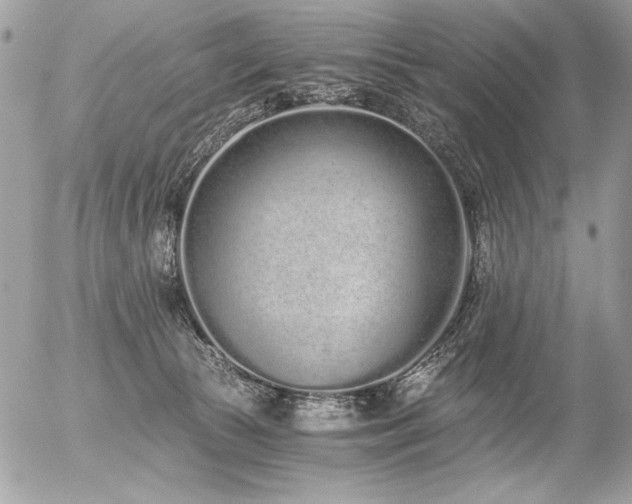 X0000056360177200508261346