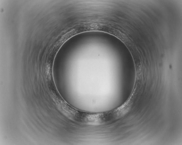 X0000056360178200508261346