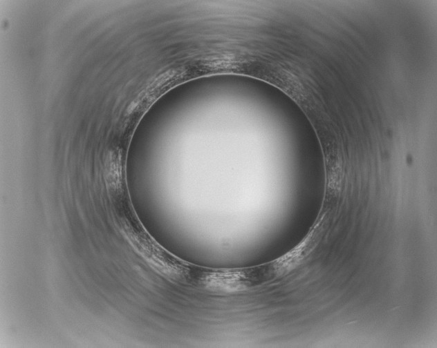 X0000056360179200508261346