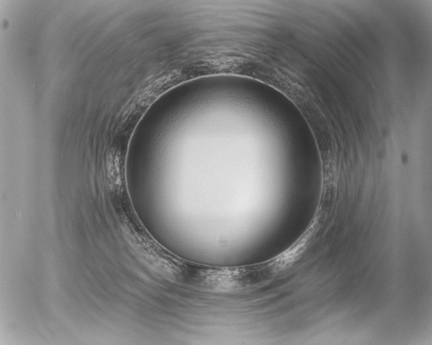 X0000056360182200508261346