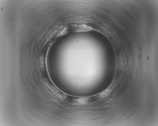 X0000056360184200508261347