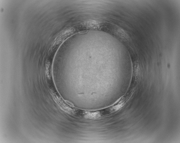 X0000056360185200508261347