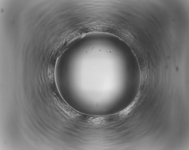 X0000056360186200508261347