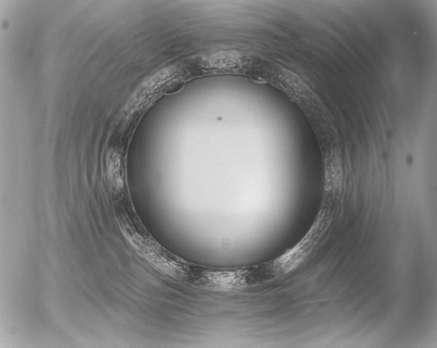 X0000056360187200508261347