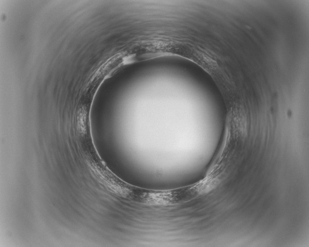 X0000056360188200508261347