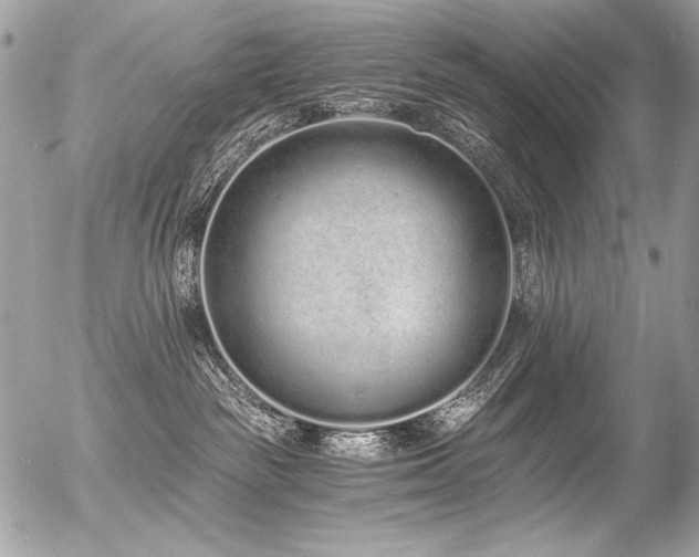 X0000056360189200508261347