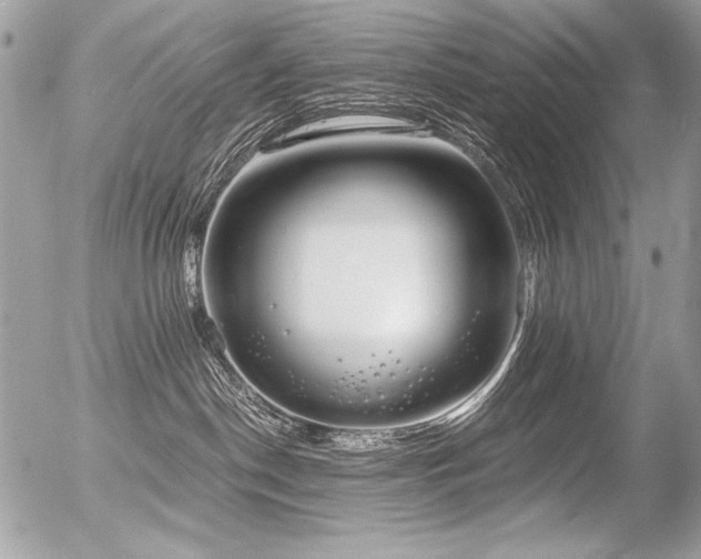 X0000056360190200508261347