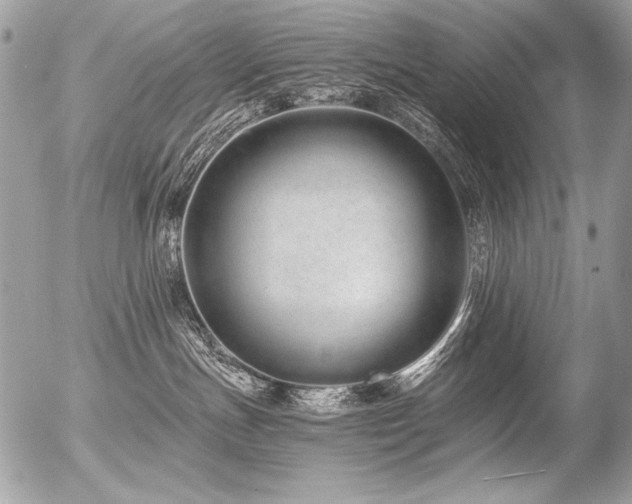 X0000056360191200508261347