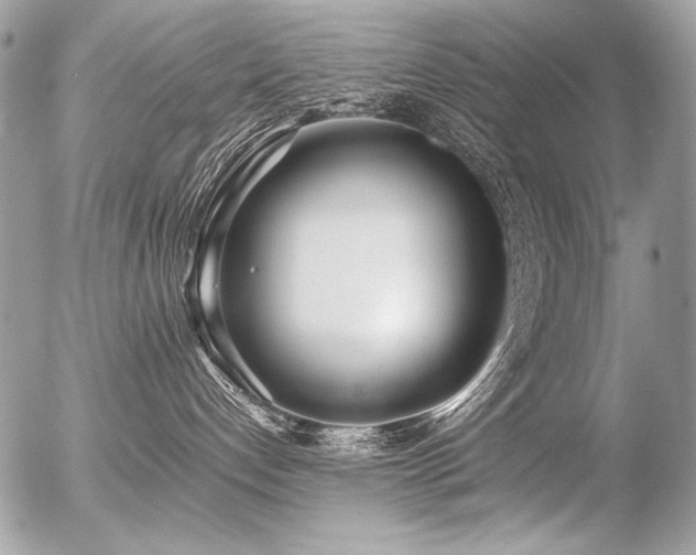 X0000056360192200508261347