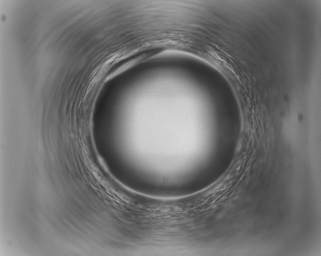 X0000056360193200508261346