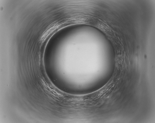 X0000056360194200508261346