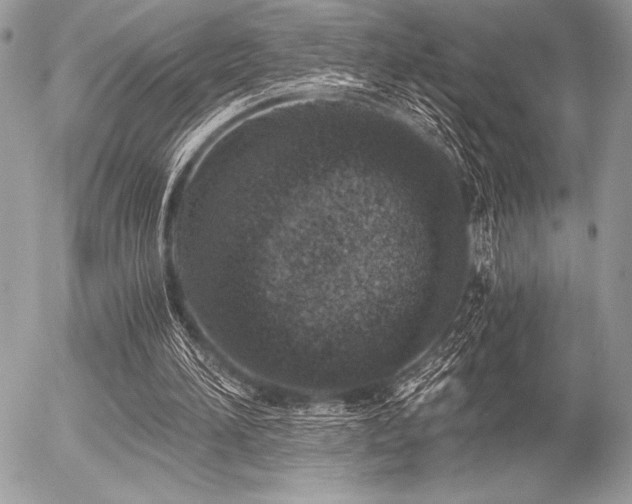 X0000056360196200508261346