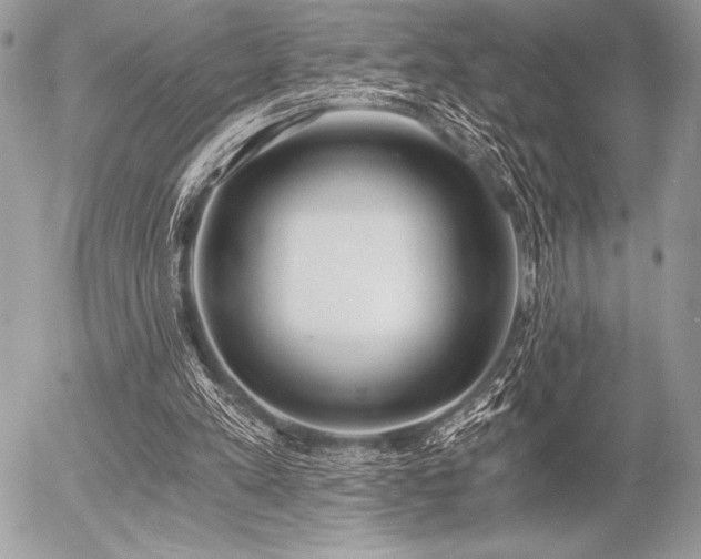 X0000056360197200508261346