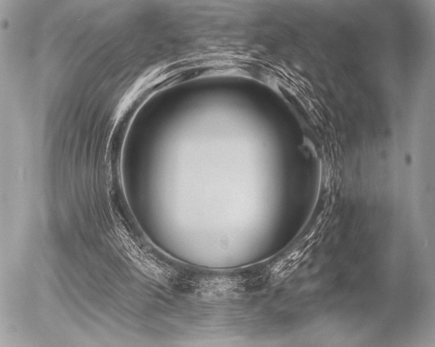 X0000056360198200508261346