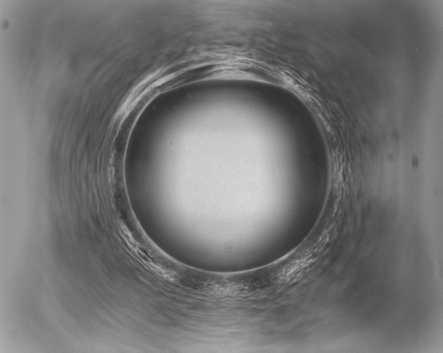 X0000056360199200508261346