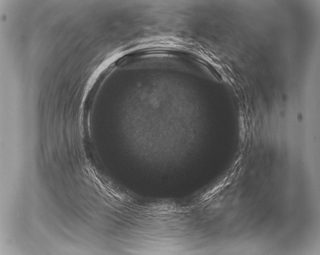 X0000056360200200508261346