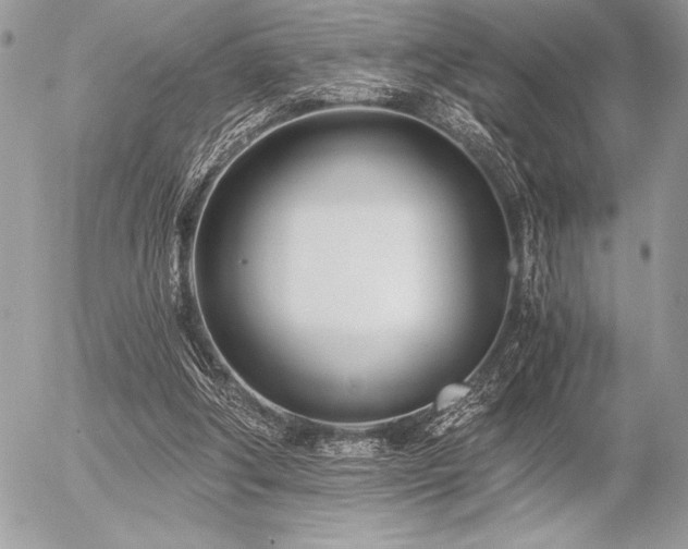 X0000056360202200508261346