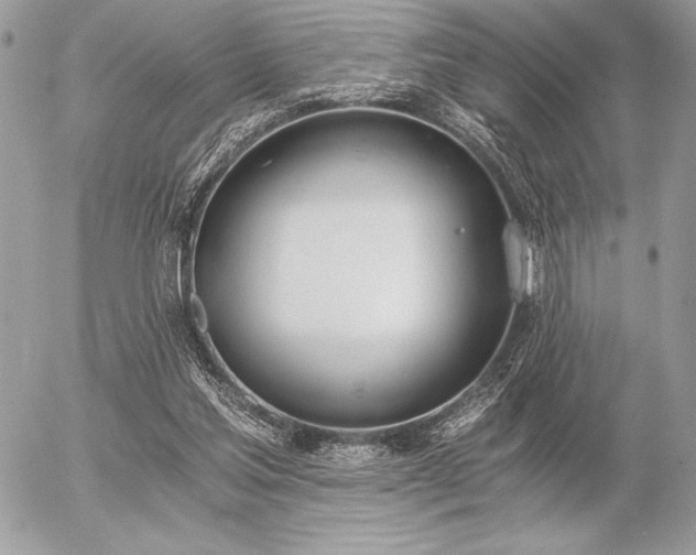 X0000056360205200508261346