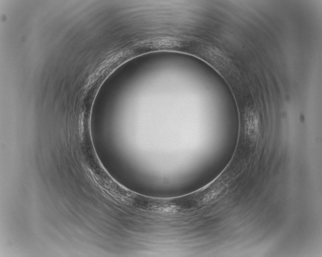 X0000056360206200508261346