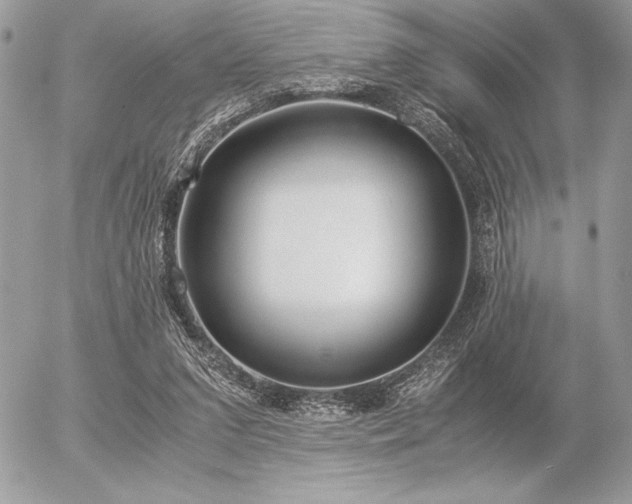 X0000056360207200508261346