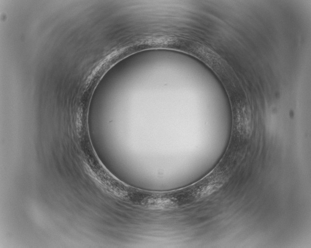 X0000056360208200508261346