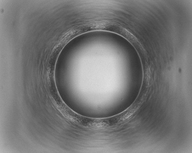 X0000056360209200508261346