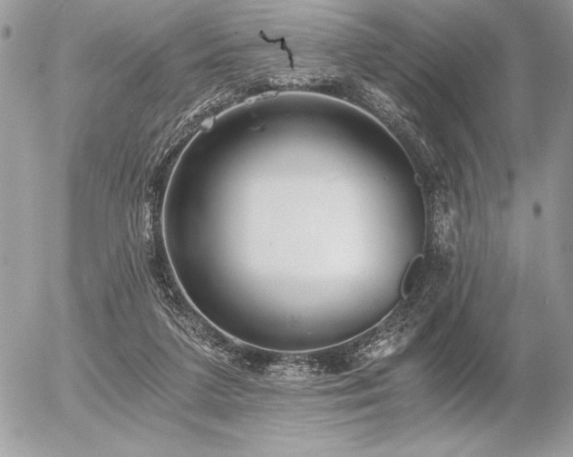 X0000056360211200508261346