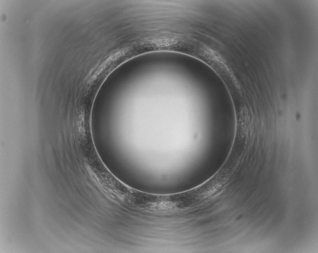 X0000056360212200508261346