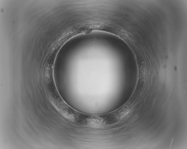 X0000056360215200508261345